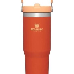 Stanley IceFlow Stainless Steel Tumbler with Straw - Vacuum Insulated Water Bottle for Home, Office or Car Reusable Cup with Straw Leak Resistant Flip Cold for 12 Hours or Iced for 2 Days (Tigerlily)
